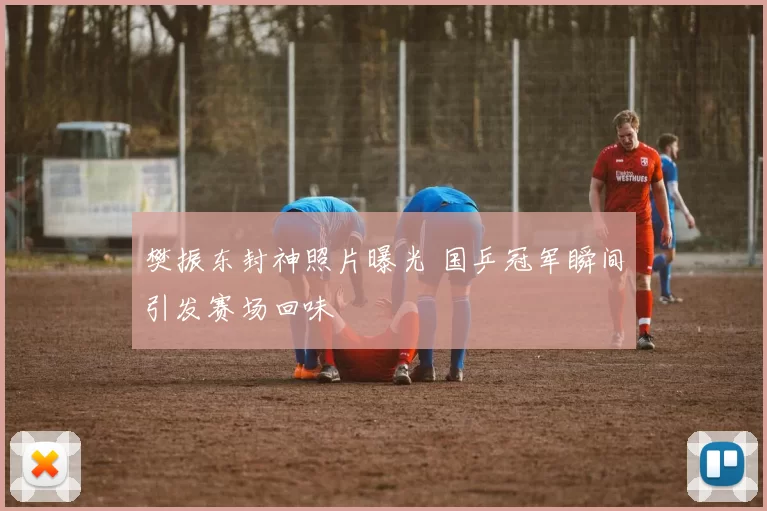 樊振东封神照片曝光 国乒冠军瞬间引发赛场回味